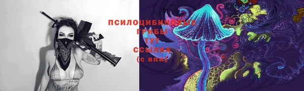a pvp Аркадак