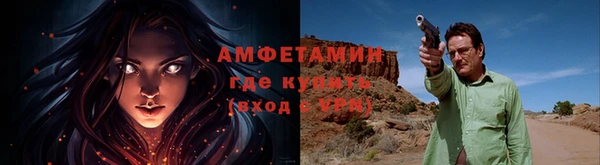 a pvp Аркадак