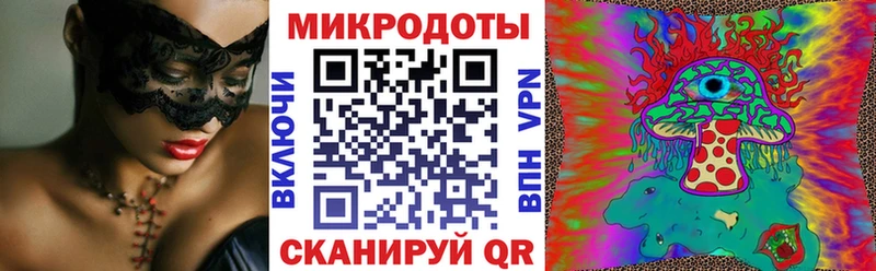 Псилоцибиновые грибы Psilocybe  Спасск-Рязанский 